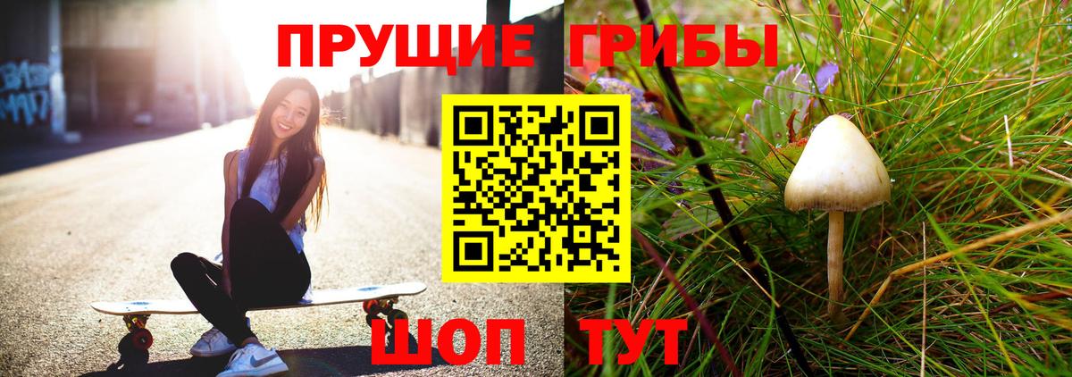 Псилоцибиновые грибы мухоморы Дивногорск