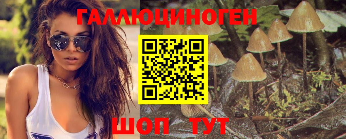 наркота  Псилоцибиновые грибы MAGIC MUSHROOMS  Вход с VPN  Галлюциногенные грибы MAGIC MUSHROOMS  Дивногорск 